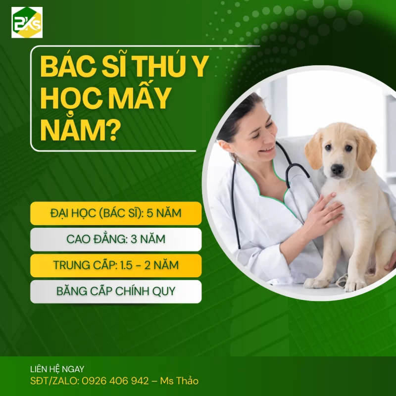 Infographic tóm tắt thời gian đào tạo Bác sĩ Thú y hệ Đại học 5 năm, Cao đẳng 3 năm và Trung cấp 2 năm tại Việt Nam.