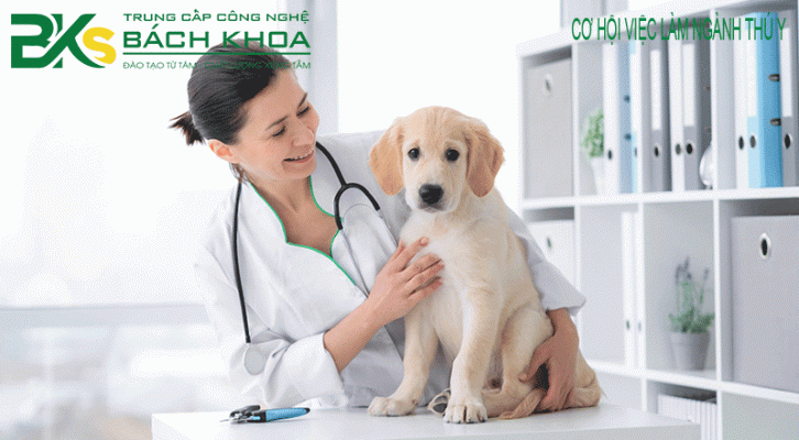 Sinh viên học thú y ra làm gì sau khi tốt nghiệp.