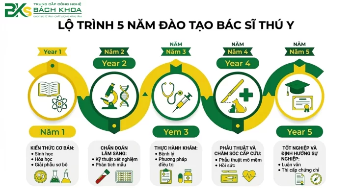 Lộ trình đào tạo Bác sĩ Thú Y chi tiết từ năm 1 đến năm 5