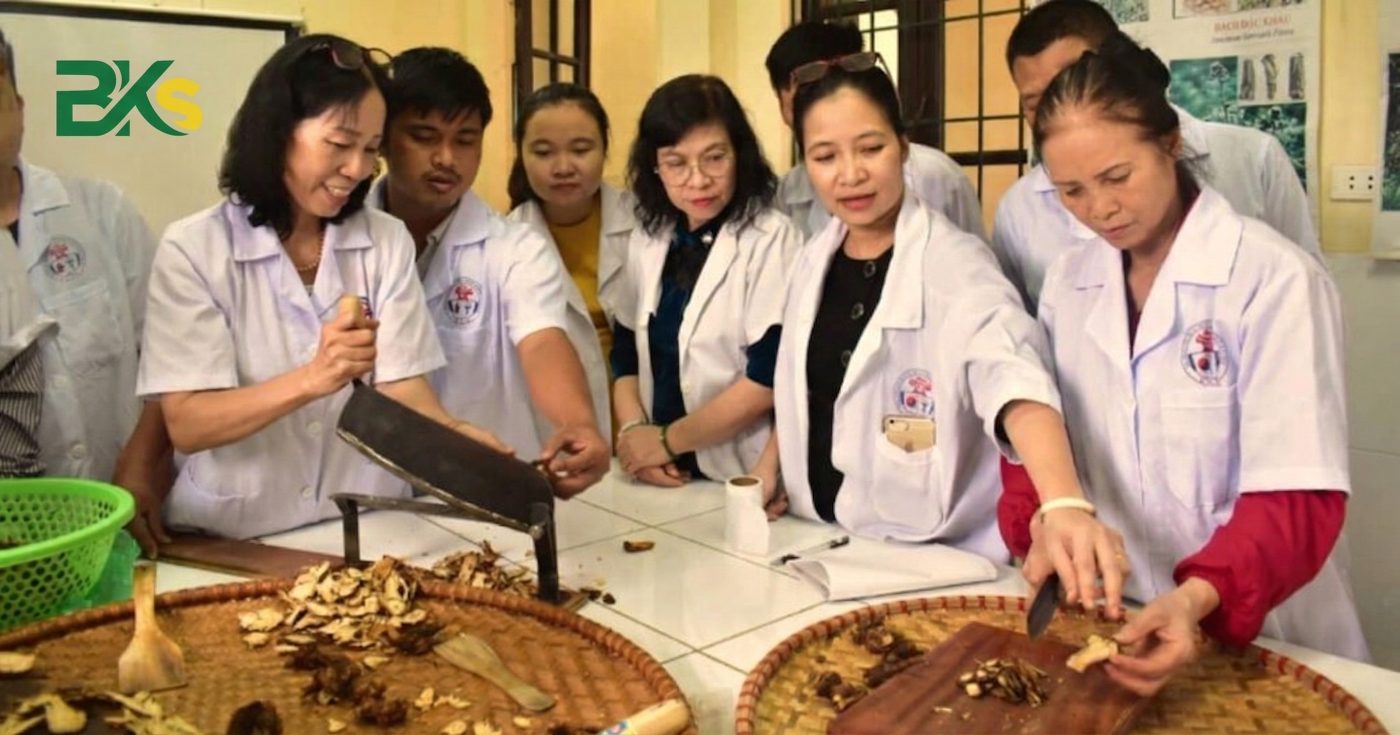 Chương trình học trung cấp y học cổ truyền được thiết kế bài bản từ lý thuyết đến thực hành.