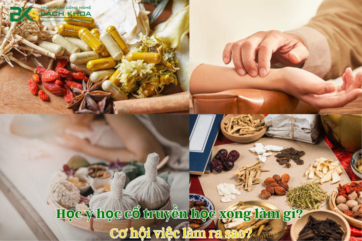 Tổng hợp các cơ hội việc làm và hướng đi đầy triển vọng sau khi tốt nghiệp ngành Y học cổ truyền.