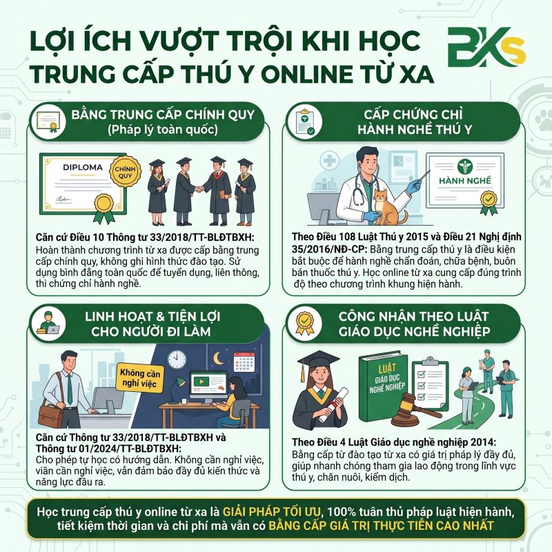 Infographic trình bày 4 lợi ích vượt trội khi học trung cấp thú y online từ xa: nhận bằng chính quy, đủ điều kiện cấp chứng chỉ hành nghề, linh hoạt cho người đi làm và được pháp luật công nhận.