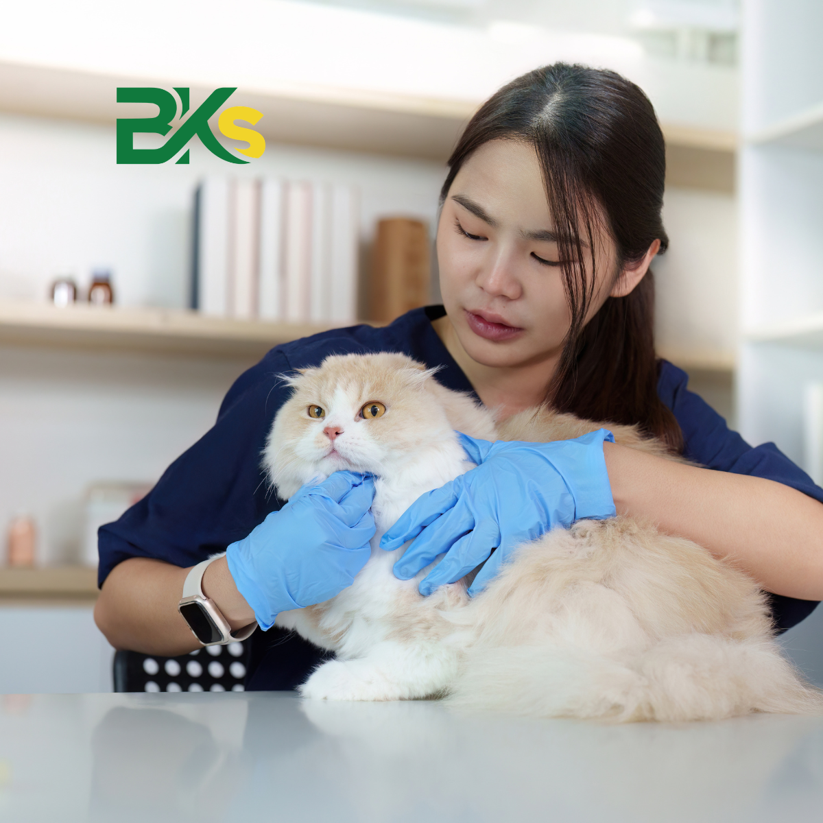 Học viên thực hành nghiệp vụ Thú y chuyên nghiệp