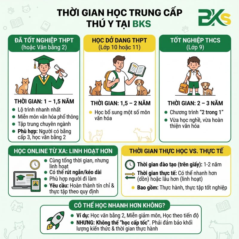 Lộ trình đào tạo trung cấp thú y online từ xa linh hoạt, giúp rút ngắn thời gian học cho người đi làm.