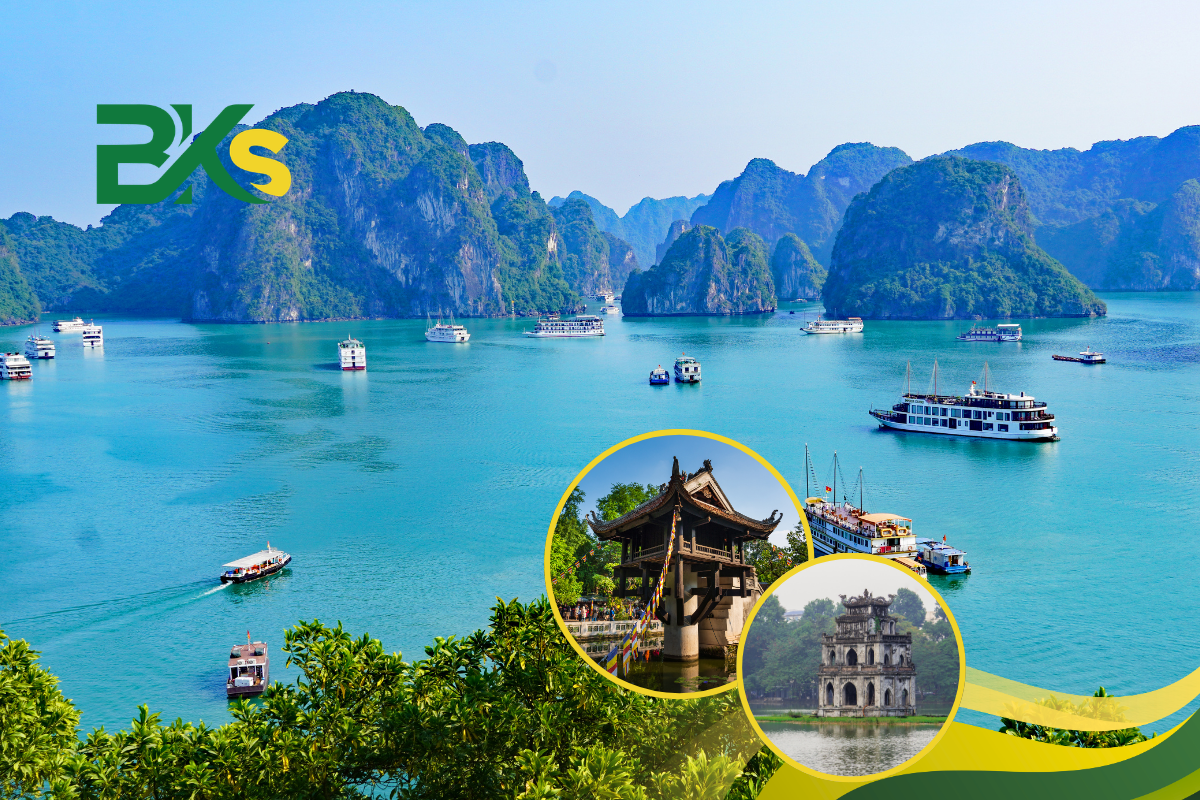 Bạn đã sẵn sàng đầu tư cho bản thân chưa? Hành trình trở thành hướng dẫn viên du lịch chuyên nghiệp có thể bắt đầu từ hôm nay với chỉ một quyết định.