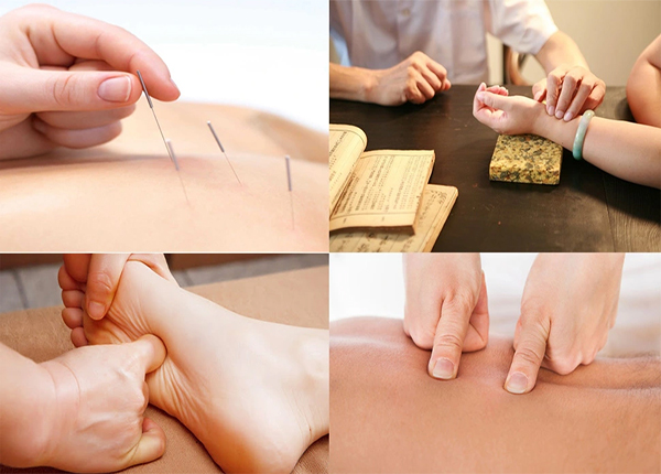 Thực hành châm cứu và bắt mạch trong chương trình Y học Cổ truyền
